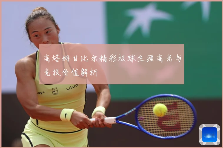 高塔姆甘比尔精彩板球生涯高光与竞技价值解析