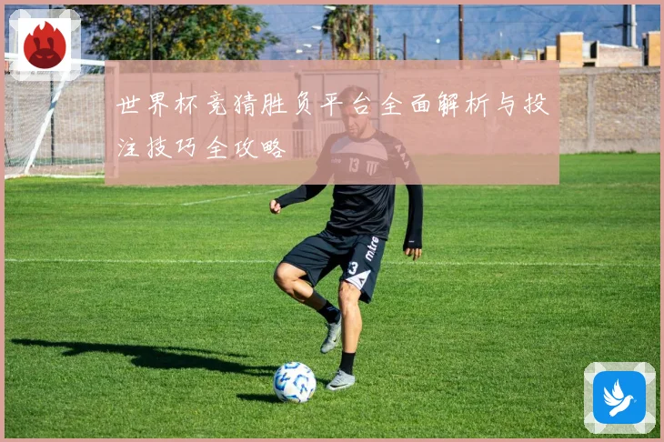 世界杯竞猜胜负平台全面解析与投注技巧全攻略