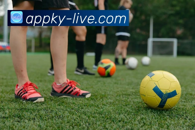 开云平台展示图