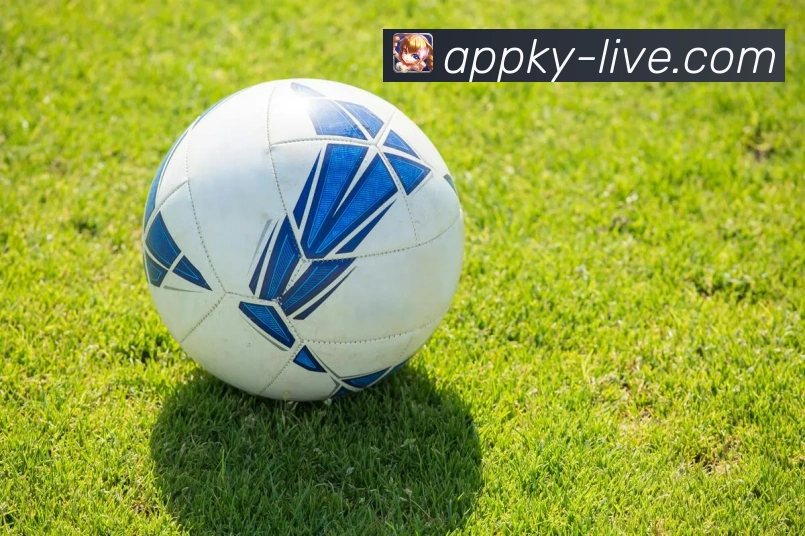 开云体育平台引领数字体育新时代全面提升用户体验